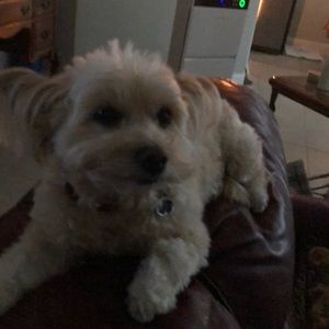 Meet your Posher, Rhonda